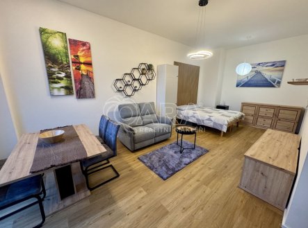 Pronájem bytu, 1+kk, 52 m²