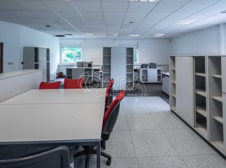 Pronájem obchodní prostory, 201 m²