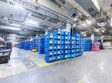 Pronájem výrobní prostory, 6 421 m²
