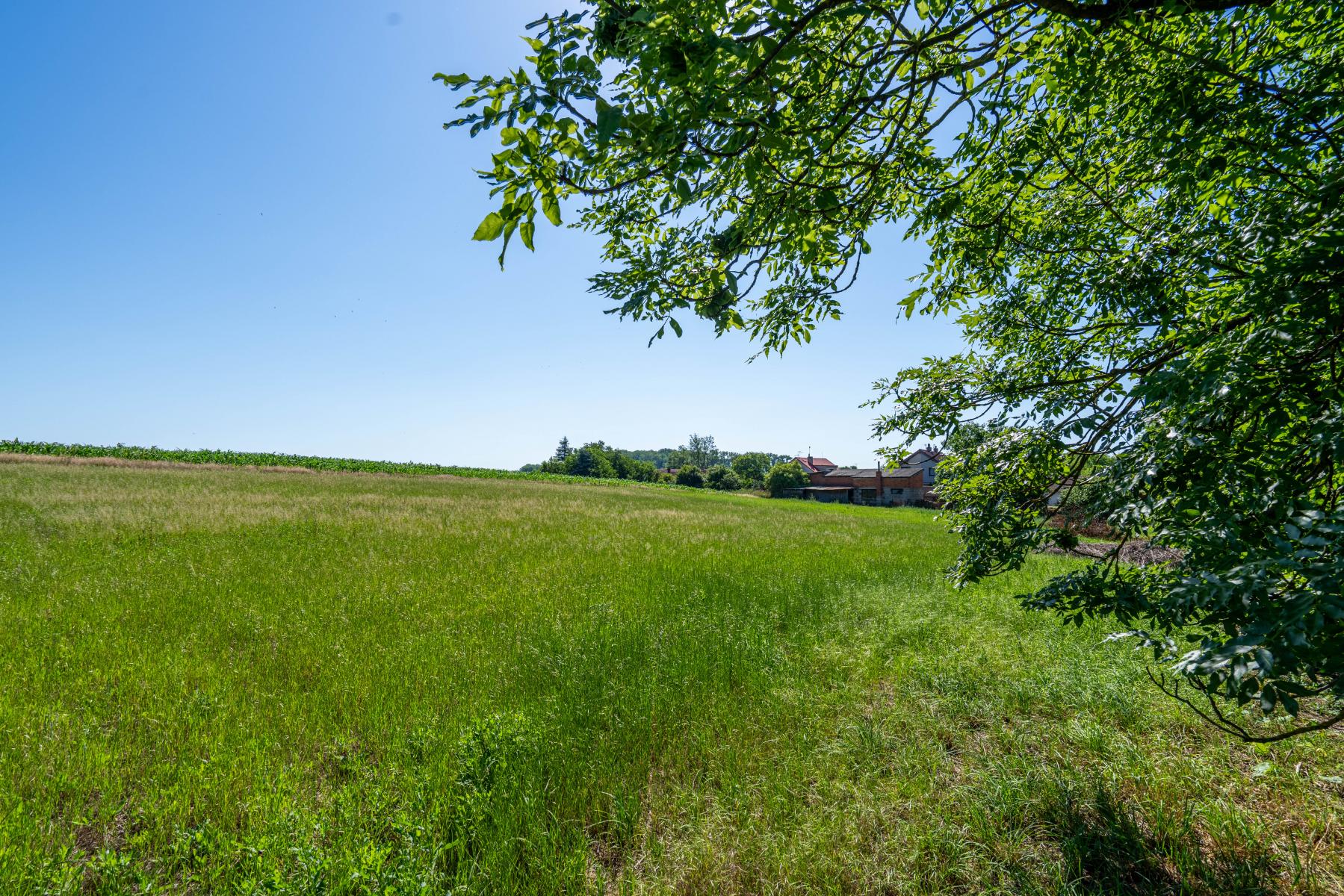 DSC05965-HDR.jpg