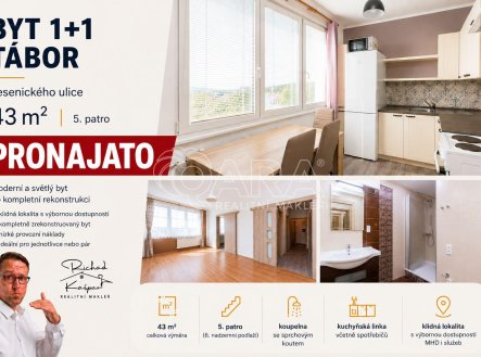 Pronájem bytu, 1+1, 42 m²