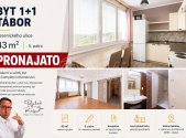 Pronájem bytu, 1+1, 42 m²