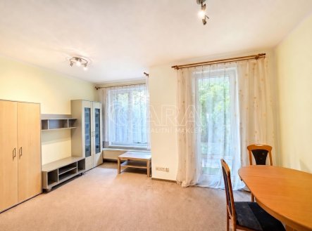 Pronájem bytu, 1+kk, 28 m²