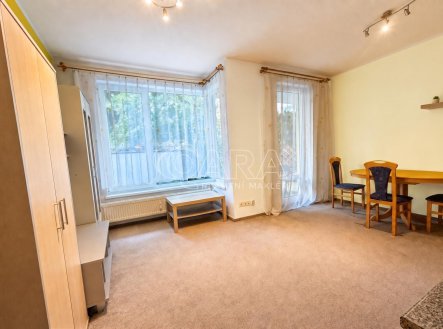 Pronájem bytu, 1+kk, 28 m²