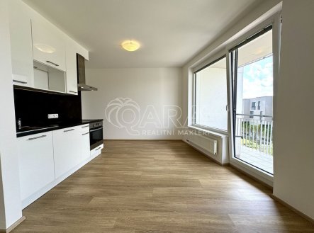 Pronájem bytu, 1+kk, 46 m²