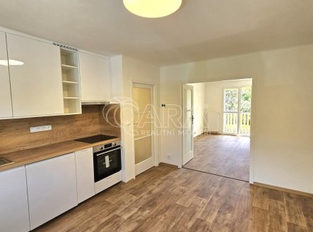 Pronájem bytu, 2+1, 55 m²