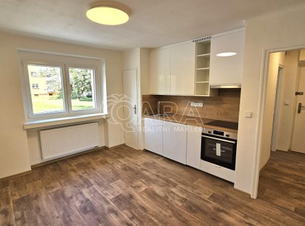 Pronájem bytu, 2+1, 55 m²