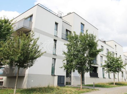 IMG_6616.JPG | Pronájem bytu, 1+kk, 37 m²