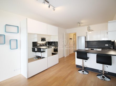 IMG_6596.JPG | Pronájem bytu, 1+kk, 37 m²