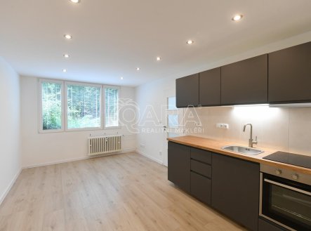 Prodej bytu, 2+kk, 39 m²
