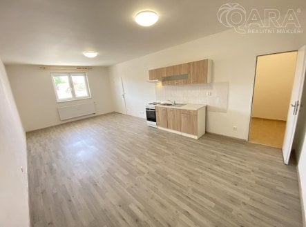 Pronájem bytu, 1+kk, 46,1 m² obrázek