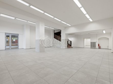 Pronájem obchodní prostory, 470 m²