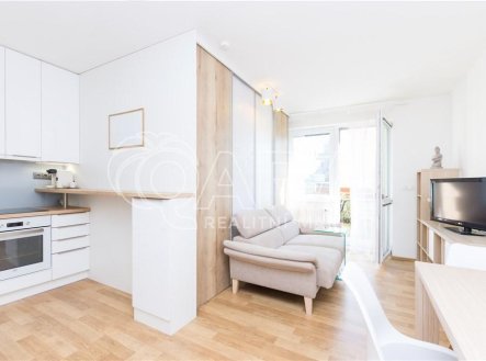 Pronájem bytu, 1+kk, 55 m² obrázek