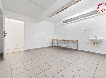 Prodej obchodní prostory, 326 m²