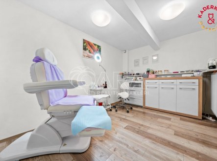 Prodej obchodní prostory, 172 m²