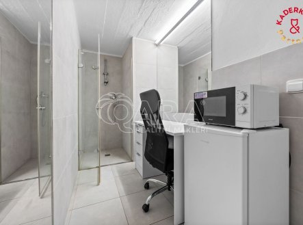 Prodej obchodní prostory, 172 m²