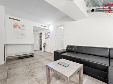 Prodej obchodní prostory, 172 m²
