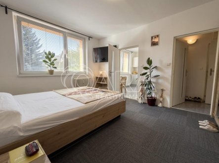 Pronájem bytu, 1+1, 34,7 m²
