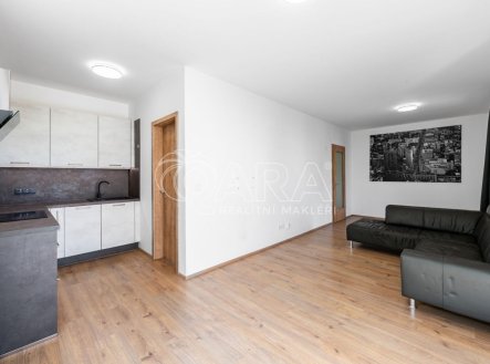 Pronájem bytu, 1+kk, 48 m²
