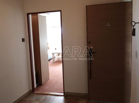Pronájem bytu, 1+1, 55 m²