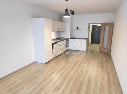 Prodej bytu, 1+kk, 42 m²