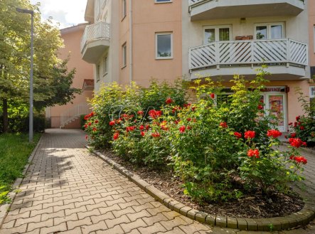 Prodej bytu, 2+kk, 59 m²