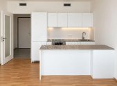 Pronájem bytu, 1+kk, 41 m²