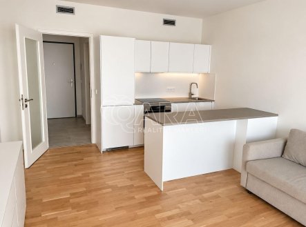 Pronájem bytu, 1+kk, 41 m²