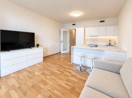 Pronájem bytu, 1+kk, 41 m²