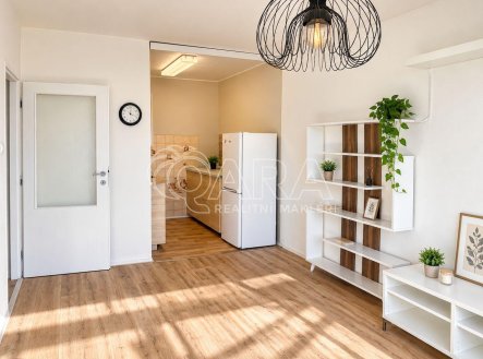 Pronájem bytu, 2+kk, 45 m²