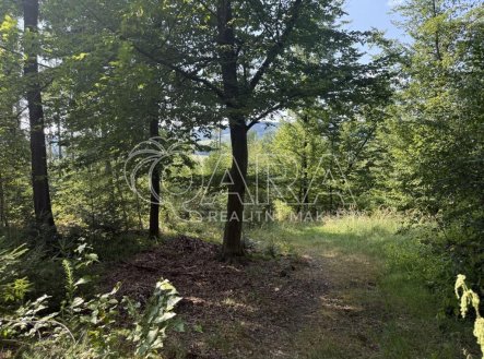 Prodej pozemku, les, 17 015 m²