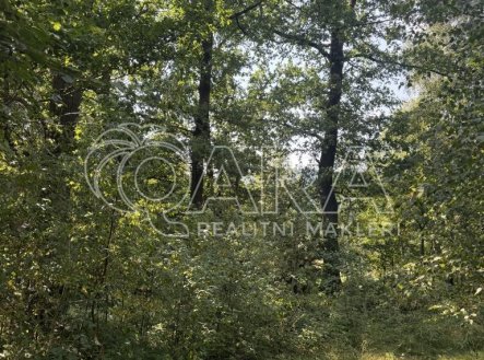 Prodej pozemku, les, 17 015 m²