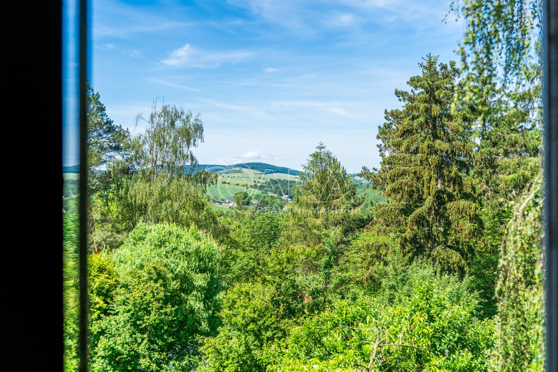 Zadní Třebáň (33).JPG