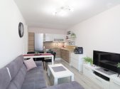 Prodej bytu, 2+kk, 45,5 m²