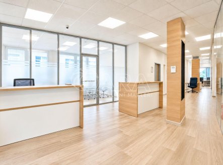 Pronájem kanceláře, 650 m²
