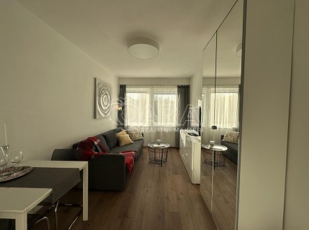 Pronájem bytu, 1+kk, 22,8 m²
