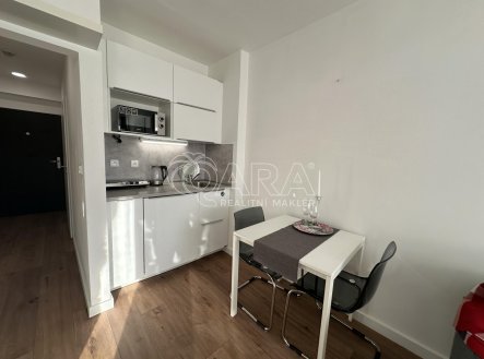 Pronájem bytu, 1+kk, 22,8 m²