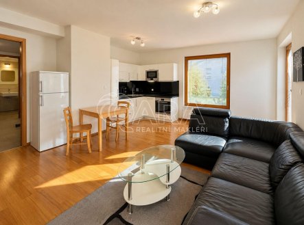 Pronájem bytu, 2+kk, 57 m²