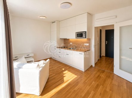 Pronájem bytu, 1+kk, 28 m²