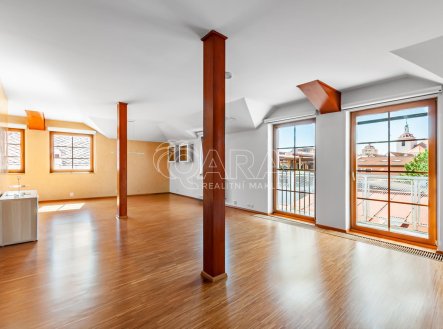 Pronájem bytu, 4+kk, 230 m²