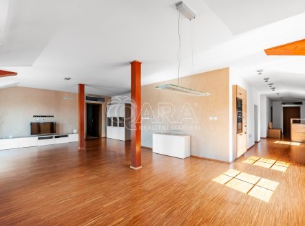 Pronájem bytu, 4+kk, 230 m²