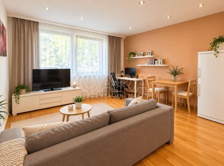 Pronájem bytu, 2+kk, 51 m²