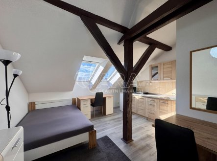 Pronájem bytu, 1+kk, 24 m²