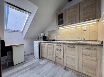 Pronájem bytu, 1+kk, 24 m²