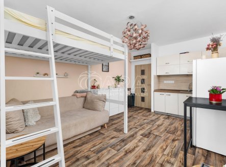 Prodej bytu, 1+kk, 34 m²