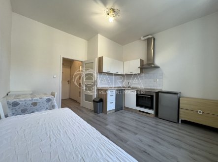 Pronájem bytu, 1+kk, 22 m²
