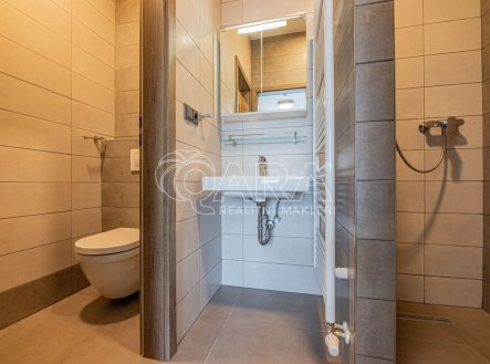 Pronájem kanceláře, 27 m²