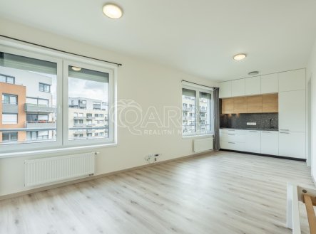 Pronájem bytu, 1+kk, 41 m²