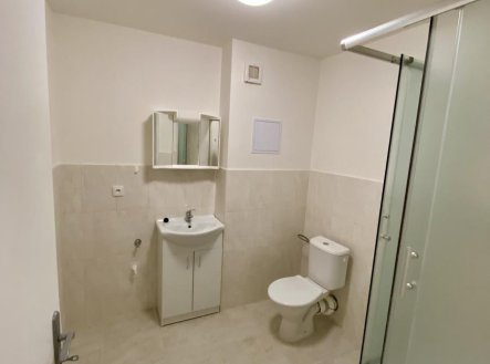 Pronájem bytu, 1+kk, 29,6 m²