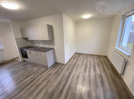 Pronájem bytu, 1+kk, 31,4 m²